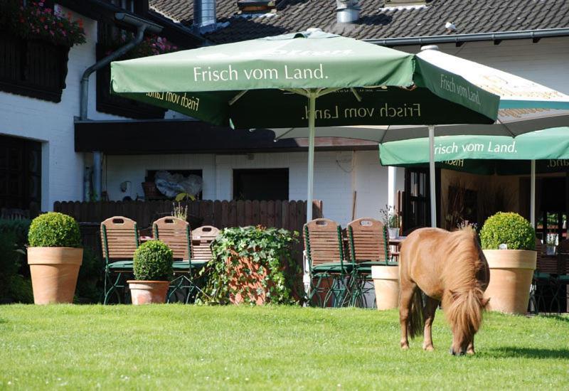 Landhotel Linden Am Venekotensee ニーダークリュヒテン エクステリア 写真